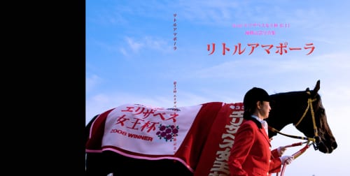 リトルアマポーラ】2008エリザベス女王杯ルメール騎手直筆サイン
